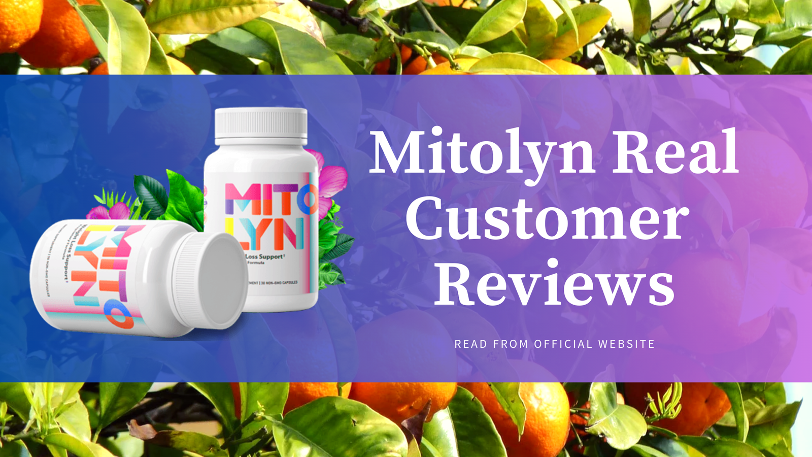mitolyn reviews